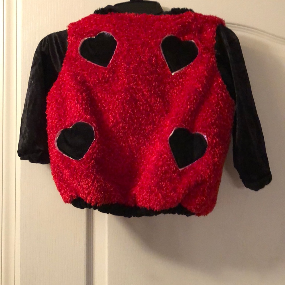 Ladybug Halloween costume